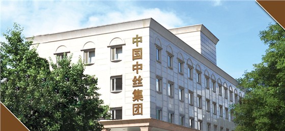 中国中丝集团公司